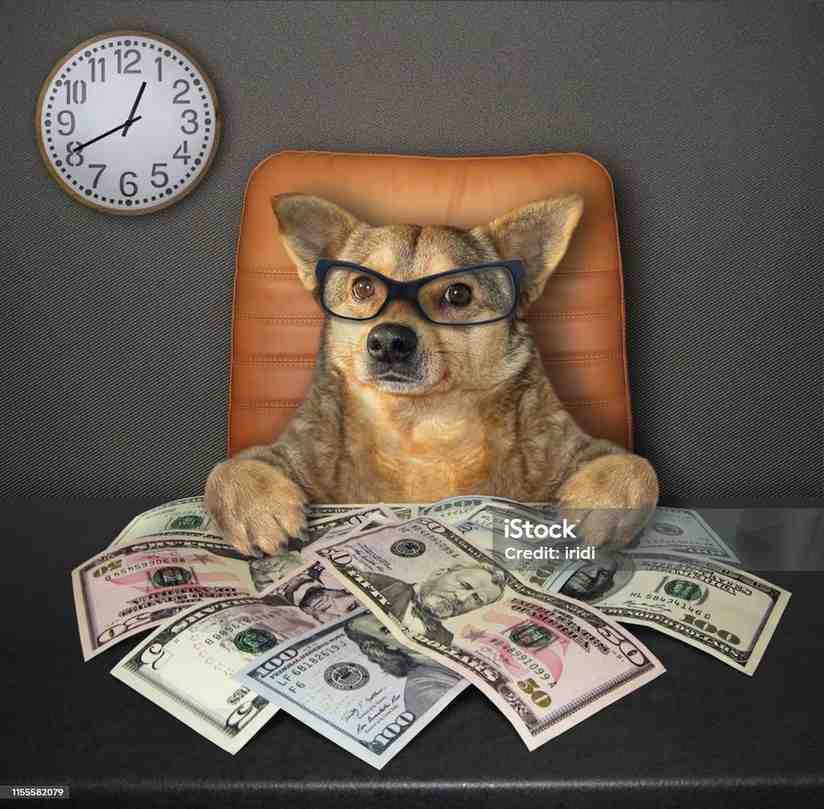 New GST Rates Car Insurance New GST Rates Car Insurance